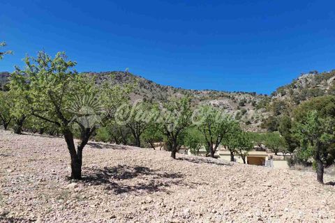 Masia a Salinas, Alicante, Salinas - € 85.000 | Ref: SF0447 - foto 17